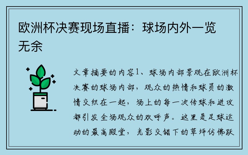 欧洲杯决赛现场直播：球场内外一览无余