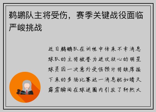 鹈鹕队主将受伤,赛季关键战役面临严峻挑战